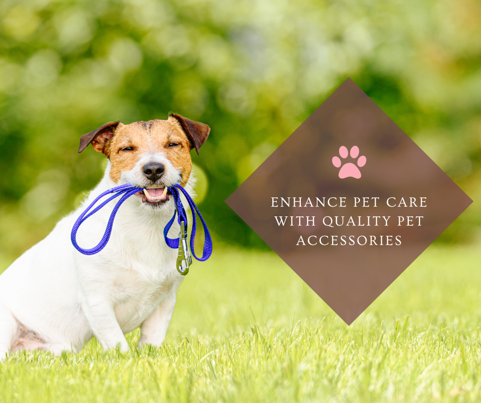 Enhance pet care with quality pet accessories
