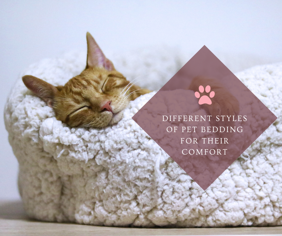 Different styles of pet Bedding for their comfort