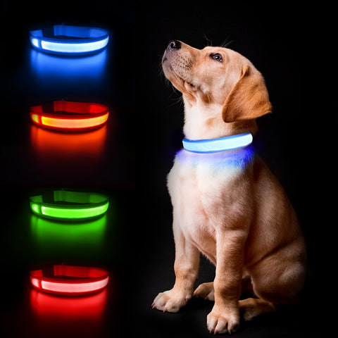 MASBRILL  Luminous Dog Collar Waterproof Safety Collars