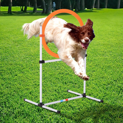 2-in-1 Dog Obstacle Agility Equipment