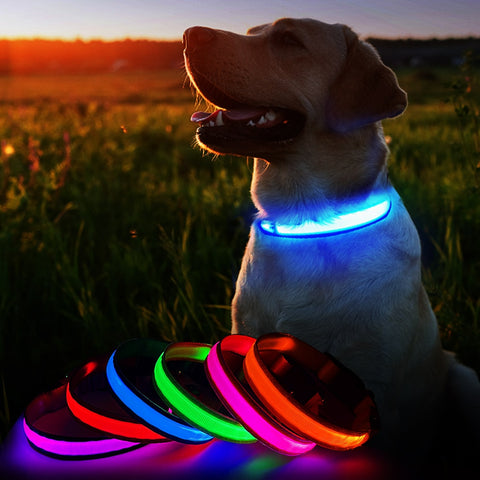 Luminous safety  Dog Collar