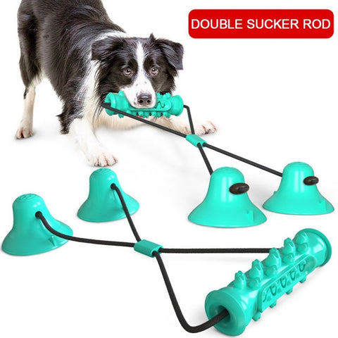 dog Chew Toy Double Suction Cup